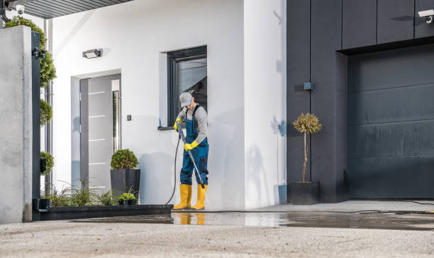 Best Animal Enclosure Cleaning  in Hampton Manor, NY